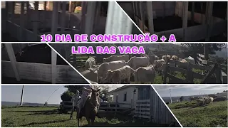 10 DIA DE CONSTRUÇÃO + A LIDA DAS VACA