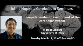 Mark Blumberg: Sleep-dependent development of the cerebellar system