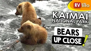 The Ultimate Alaska Bear Experience in Katmai National Park - Brooks Falls | RV To Alaska