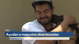 FundaDog, al rescate de perritos abandonados en Nuevo León