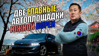 ПОДБОР KIA K5 в Корее. ОБЗОР ПЛОЩАДОК.