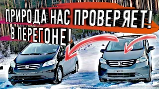 ЗИМНИЙ ПЕРЕГОН! 🥶 МОРОЗ, МЕТЕЛЬ! МАШИНЫ НЕ ГЛУШИМ СУТКАМИ! ДВЕ ХОНДЫ И УДАЧА))) КРАУН ЗА ПИЦОТ!