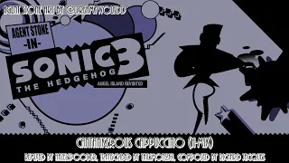 Agent Stone in Sonic 3 A.I.R. - Cantankerous Cappuccino (H-mix)