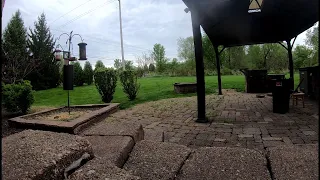 LIVE | Hog Life | Bird Feeder Cam