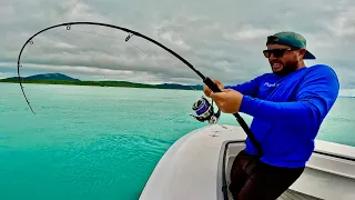 Island Madness HIGH SPEED Jigging