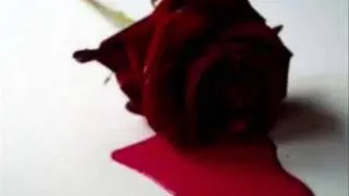 مه‌زهه‌ری خالقی           ♥♥ سازی ساز ♥♥