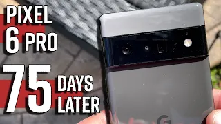 Pixel 6 Pro FULL Review - Two MONTHS Later!