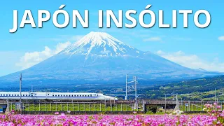 JAPÓN INSÓLITO | Las maravillas más alucinantes de Japón