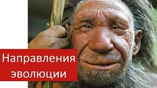 Направления эволюции | что такое ароморфоз