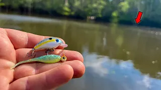 I Caught 30 CRAPPIE in an Hour With THESE 2 lures ** CATCH AND COOK **