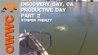 Kayak Fishing Discovery Bay Part 2 - Striper Insanity