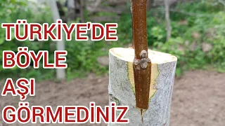 İDDİA EDİYORUM TÜRKİYE'DE BÖYLE AŞI GÖRMEDİNİZ 🙂 ÇİN AŞISI