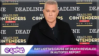 Revealed: Ray Liotta's Cause Of Death Revealed In Autopsy Report