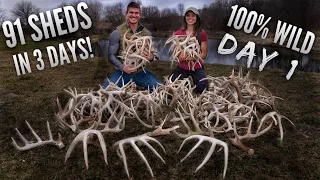 Day 1 of 91 sheds in 3 days! SHED RECORD SET For Us