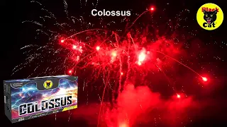 Colossus 220 Shots Compound Cake by Black Cat Fireworks