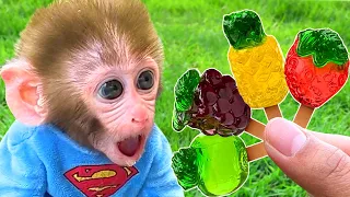 Baby Monkey BonBon Eat Candy Chip and Playing with Cute Puppy in the Park - BonBon Farm