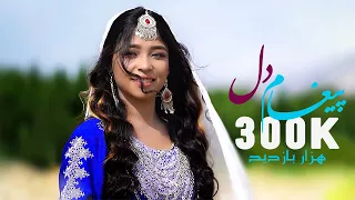 New Hazaragi Song | Paigham Dil | Khatima Eftekhari آهنگ جدید هزارگی پیغام دل - ختیمه افتخاری