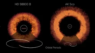 The Different Orbital Geometries in Prrotoplanetary Disks around Binary Stars.