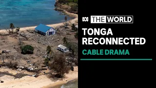 Tonga reconnects to world as submarine cable restored after tsunami | The World