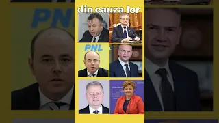 PNL = Partidul Național Laș