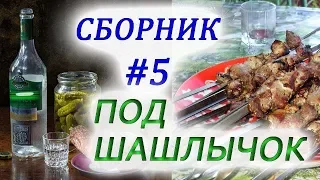 СБОРНИК ШАНСОНА ПОД ШАШЛЫЧОК 5,COLLECTION OF CHANSON UNDER THE SKEWER 5