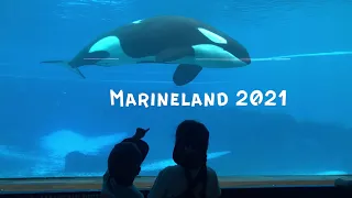 Marine land - part 3 - killer whale, beluga whales and dolphins