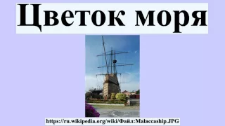 Цветок моря