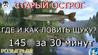 🌟СТАРЫЙ ОСТРОГ🌟ГДЕ И КАК ЛОВИТЬ ЩУКУ?🌟🎁РОЗЫГРЫШ🎁🌟Русская Рыбалка 4(РР4)🌟