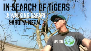 SEARCHING FOR TIGERS, a Walking Safari in Bardiya National Park, Nepal | Ep# 198