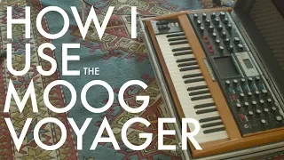 Part 10 - Moog Voyager and Strymon Brigadier