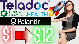 Cathie Wood Says These Stocks Will Surge In Price: PLTR Stock News, TDOC Stock Analysis & DNA Stock!