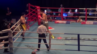 HEAVY (91KG) - Evgeny TISHCHENKO V Jin GUO (part 2)