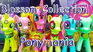 My little pony цветочный набор Friendship Blossom Collection 6 пони из серии Ponymania