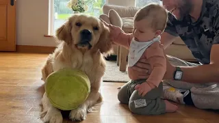Adorable Baby Boy Tries To Talk To Golden Retriever Dog! (Cutest Ever!!)