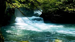 Calming Blue MOUNTAIN STREAM. Relaxing NATURE Sounds. White Noise for Stress Relief and Sleeping.