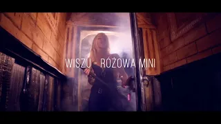 Wiszu - Różowa Mini (Official Video)