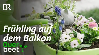 Frühling auf dem Balkon - Tipps von Sabrina