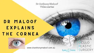 Dr Anthony Maloof explains the cornea at Eyes & Faces