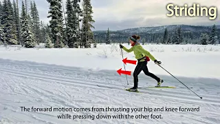 Basic Classic Ski Techniques: Striding