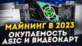 Майнинг в 2023 году — Видеокарты vs ASIC-майнеры: доходность майнинга, окупаемость, плюсы и минусы