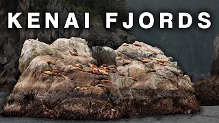 Boat Tour to Kenai Fjords National Park | A MUST DO Tour in Seward, Alaska [S1-E12]