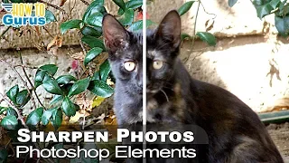 How You Can Sharpen Blurry Photos using Photoshop Elements : Sharpening Techniques Tutorial