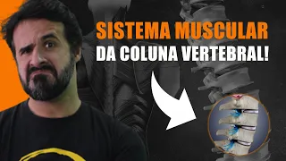 DESCUBRA TUDO SOBRE A MUSCULATURA DA COLUNA VERTEBRAL!