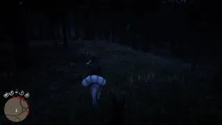 Red Dead Redemption 2 werewolf?