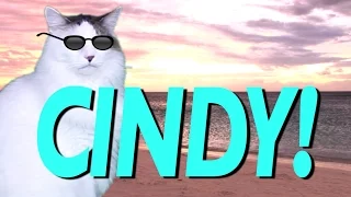 HAPPY BIRTHDAY CINDY! - EPIC CAT Happy Birthday Song