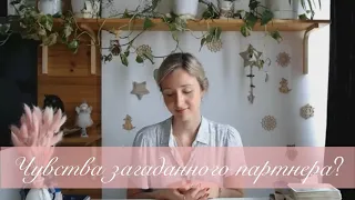 КАКИЕ ЧУВСТВА ЕСТЬ У ВАШЕГО ЗАГАДАННОГО ПАРТНЕРА К ВАМ?💕/ Таро Гадание// Таро Расклад