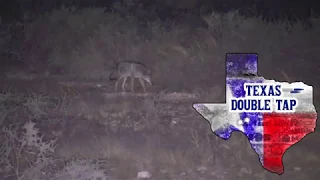 Texas Style Predator Control