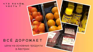 ВСЁ ДОРОЖАЕТ или сколько стоят продукты в Австрии?