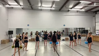 Partner Walkover Section with Counts