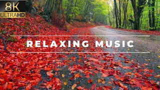 Relaxing nd Satisfying Video to Help You Brush Off Some of Your Mental Stress